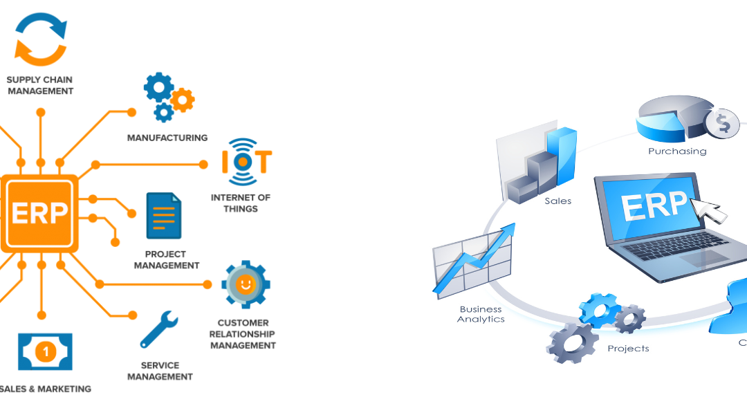 Introduction to Enterprise Resource Planning Software