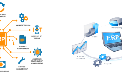 Introduction to Enterprise Resource Planning Software