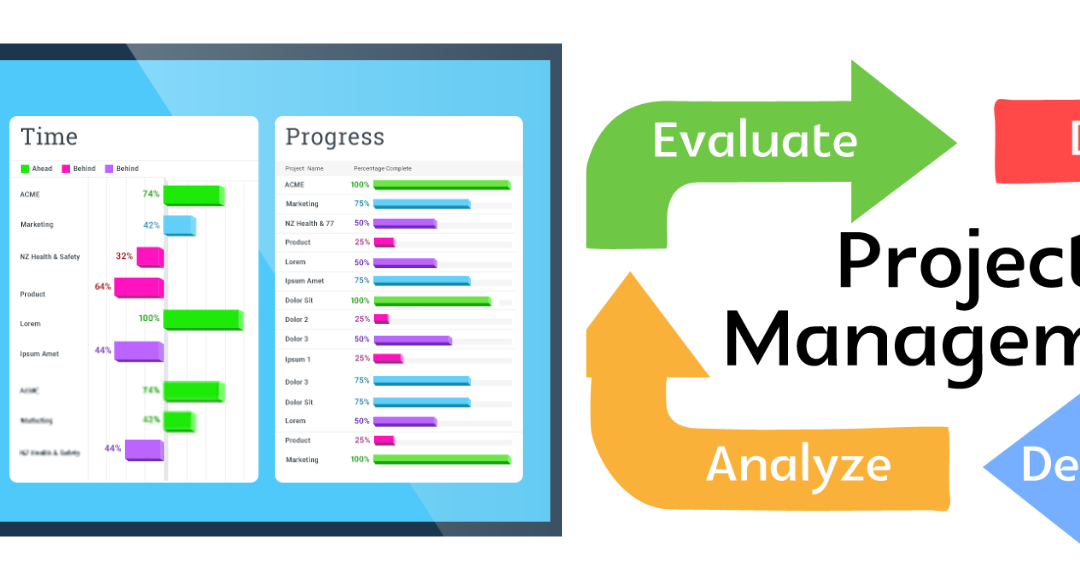 How Project Management Software Transforms Team Productivity