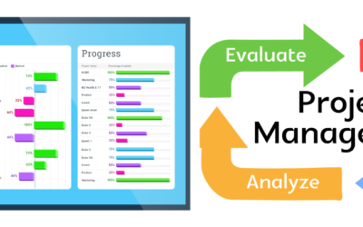 How Project Management Software Transforms Team Productivity